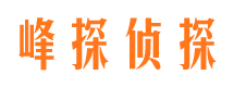 大同市私家侦探